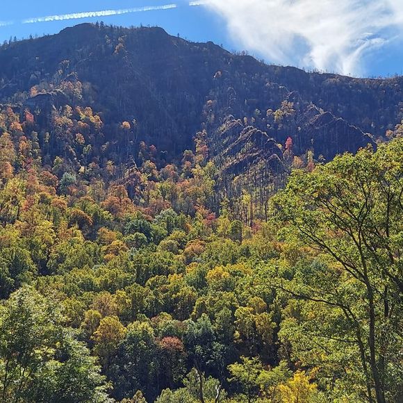 Meet your Posher, Debbie - Picture 1 of 1